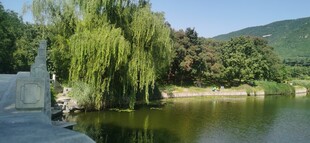公园风景 