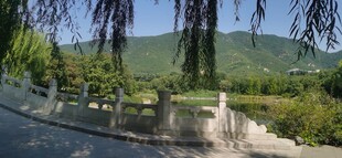 公园风景 