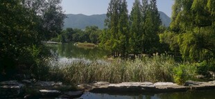 公园风景 
