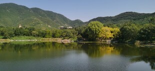 公园风景  
