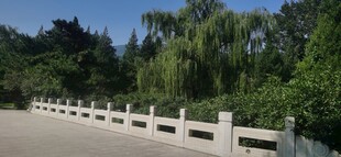 公园风景 