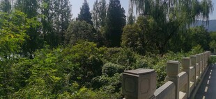 公园风景 