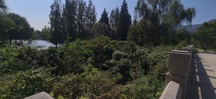 公园风景  