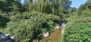 公园风景 