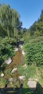 公园风景 