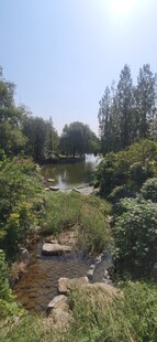 公园风景 