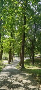 公园风景  
