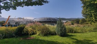 公园风景 