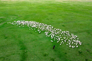 巴音布鲁克大草原