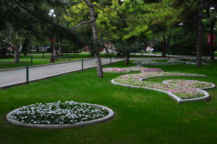 公园风景 