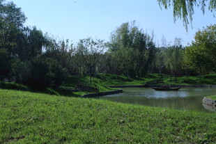 公园风景 