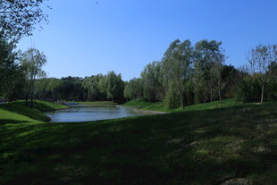 公园风景  
