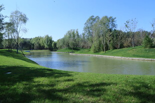 公园风景 