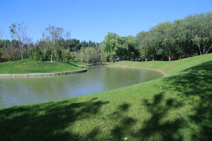 公园风景  