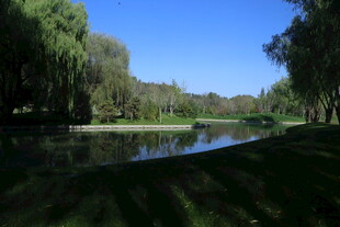 公园风景  