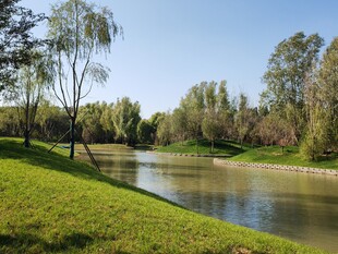 公园风景  