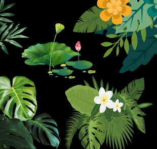 绿叶花朵荷花素材