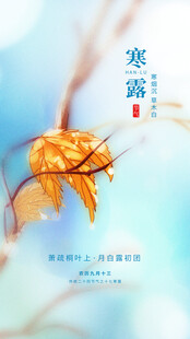 寒露海报