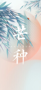 芒种节气宣传海报展板