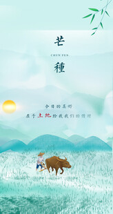 芒种节气宣传海报展板