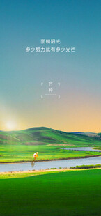 芒种节气宣传海报展板