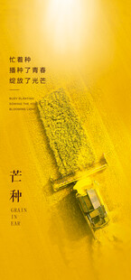 芒种节气宣传海报展板