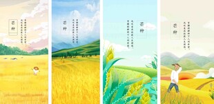 芒种节气宣传海报展板