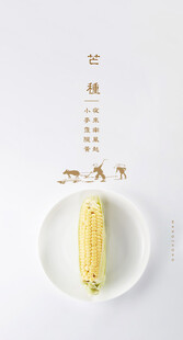 芒种节气宣传海报展板