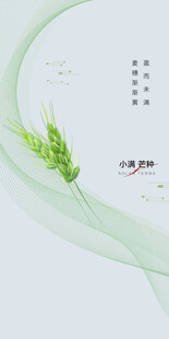 芒种节气宣传海报展板