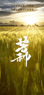 芒种节气宣传海报展板