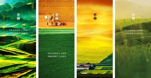 芒种节气宣传海报展板