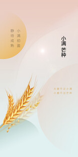 芒种节气宣传海报展板