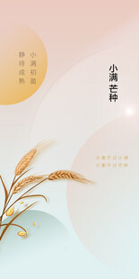 芒种节气宣传海报展板