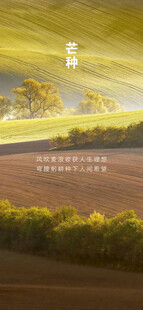 芒种节气宣传海报展板