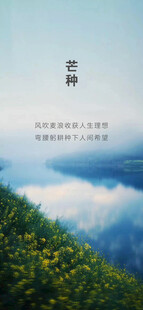 芒种节气宣传海报展板