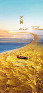 芒种节气宣传海报展板