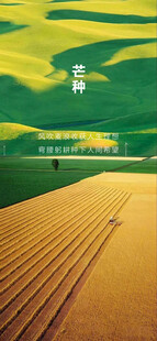 芒种节气宣传海报展板