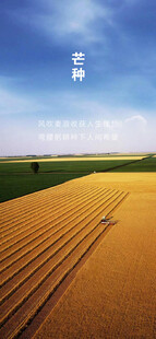 芒种节气宣传海报展板