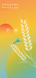 芒种节气宣传海报展板