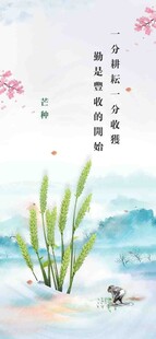 芒种节气宣传海报展板