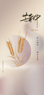 芒种节气宣传海报展板