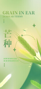 芒种节气宣传海报展板