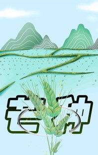 芒种节气宣传海报展板