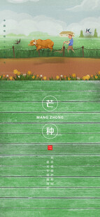 芒种节气宣传海报展板