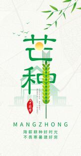 芒种节气宣传海报展板