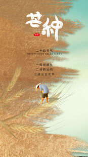 芒种节气宣传海报展板