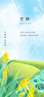 芒种节气宣传海报展板