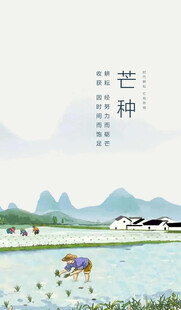 芒种节气宣传海报展板