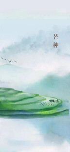 芒种节气宣传海报展板