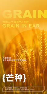 芒种节气宣传海报展板